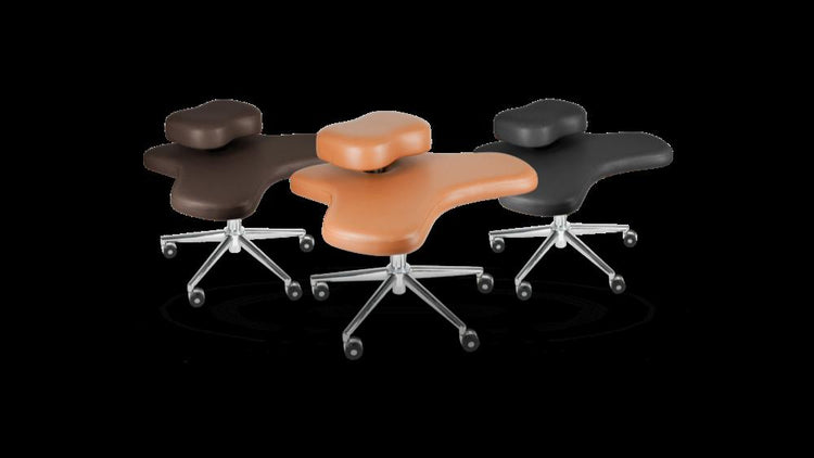 Yogi Seat Basic Color