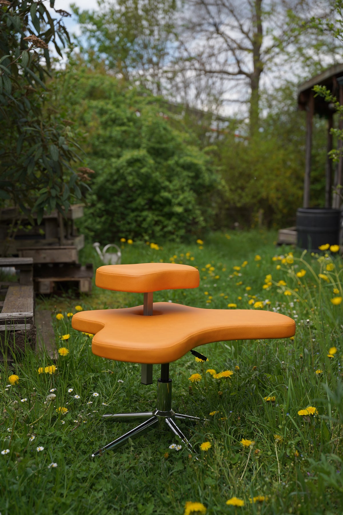 Yogi Seat